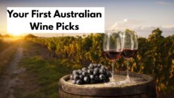 A Beginner’s Guide to Australian Wines – What to Try Next from WA Vineyards